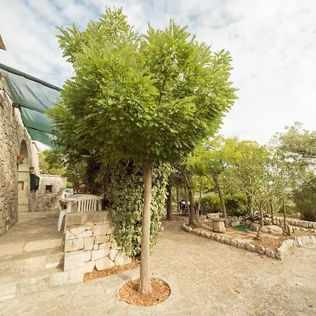 Trulli Girasoli E Viole