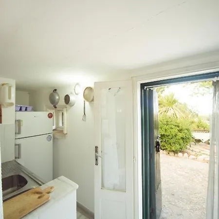 Trulli Girasoli E Viole Cocolicchio