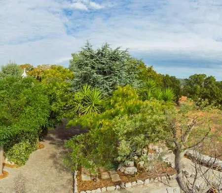 Trulli Girasoli E Viole *