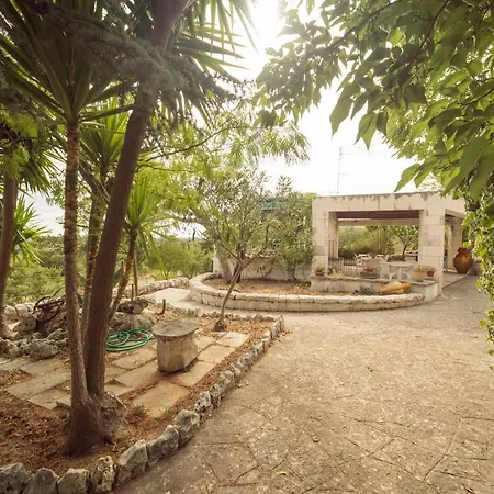 Trulli Girasoli E Viole *