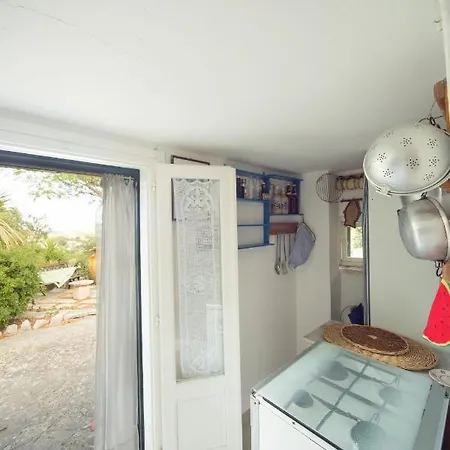 Trulli Girasoli E Viole Cocolicchio