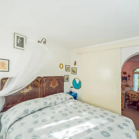 Trulli Girasoli E Viole Cocolicchio